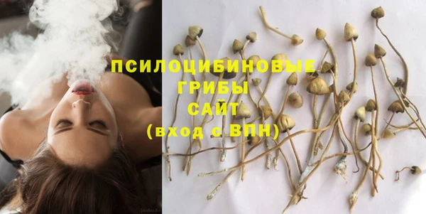 не бодяженный Армянск
