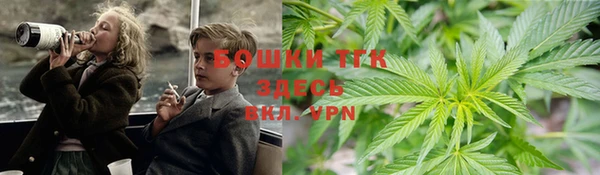 сатива Нязепетровск