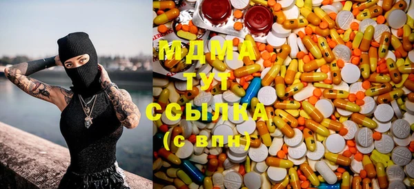 индика Няндома