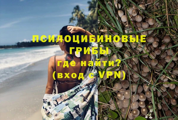 мдпв Арсеньев