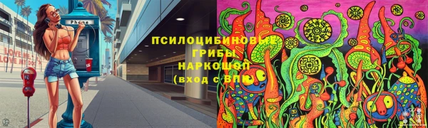 мдпв Арсеньев