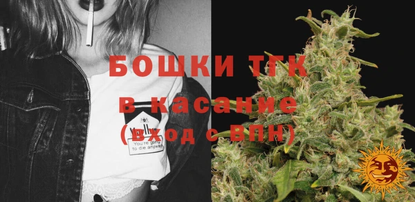 амф Аркадак