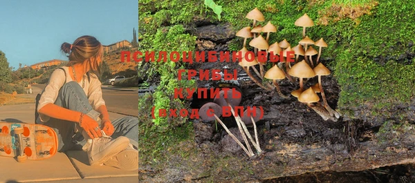 мдпв Арсеньев